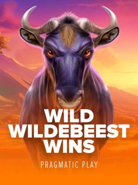 VivaLive Casino: A Comprehensive Guide to Live Dealer Games